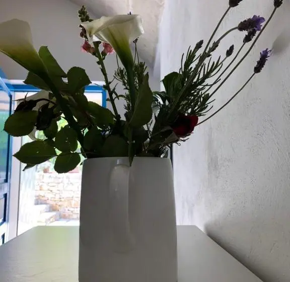 スタンダードルーム, B&b Terre Di Kalia