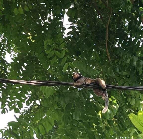 خانه 1 خوابه, Casas Temporada Colonial