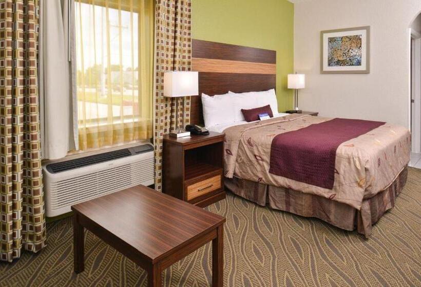 キングサイズベッドのスタンダードルーム, Americas Best Value Inn Downtown Houston