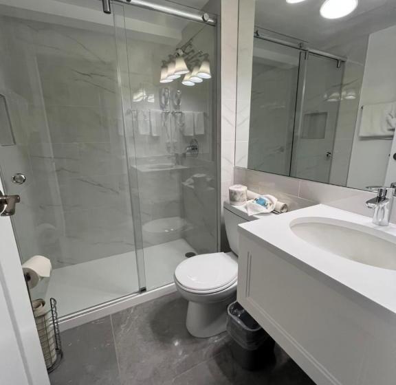 单人基本间, Arbutus Inn