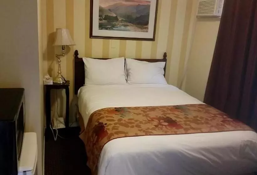 اتاق عادی یک تخته, Arbutus Inn