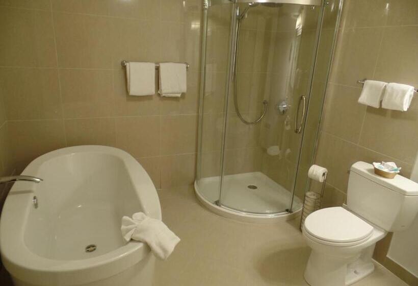 带大床的豪华间, Arbutus Inn