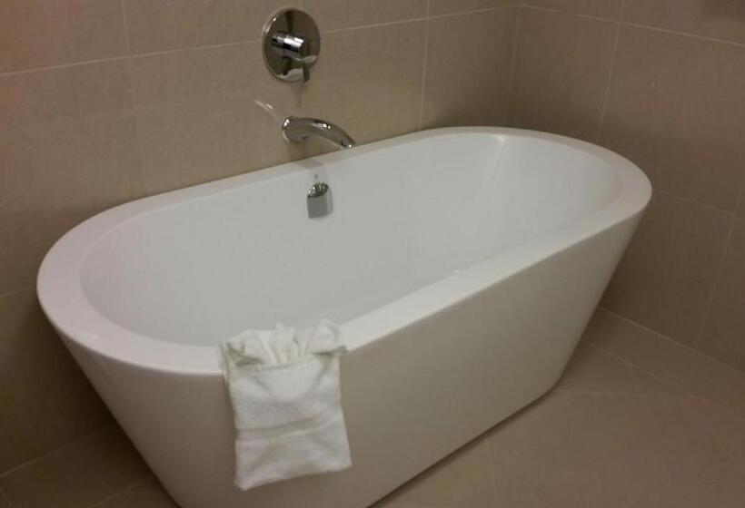 带大床的豪华间, Arbutus Inn