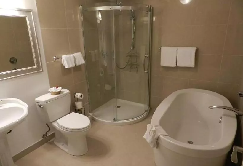 اتاق لوکس با تخت بزرگ, Arbutus Inn