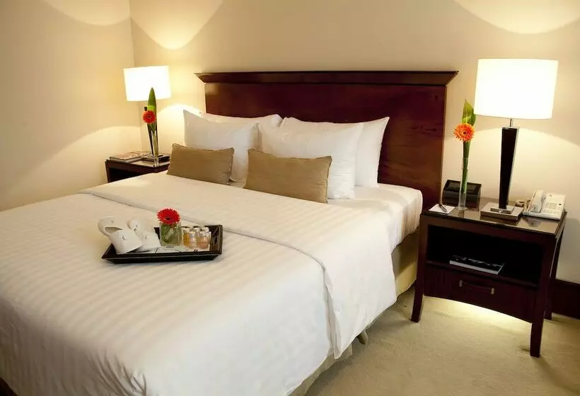 デラックスルーム, Regal Pacific Puerto Madero