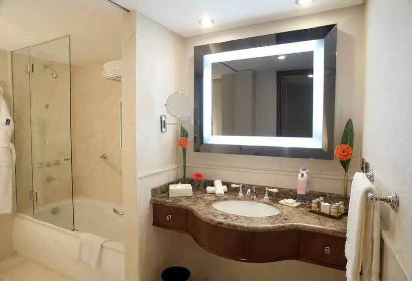デラックスルーム, Regal Pacific Puerto Madero