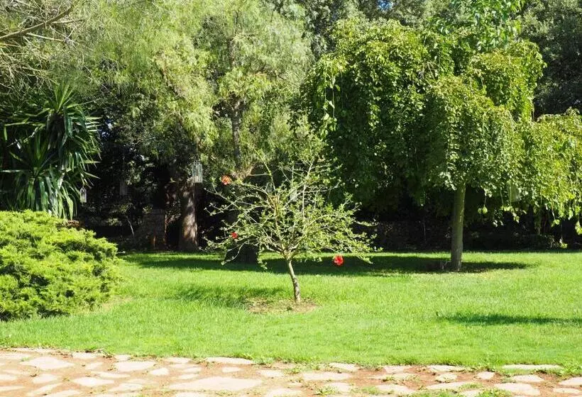 سوییت با چشم‌انداز باغ, Son Mercadal