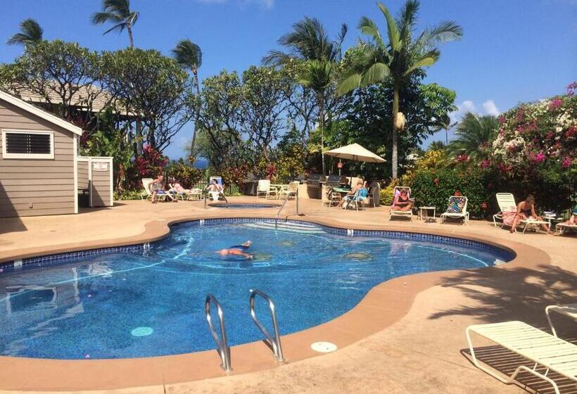 فيلا غرفتين نوم, Wailea Grand Champions