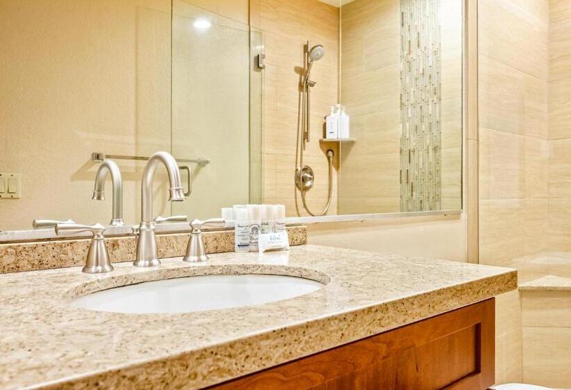 Апартаменты 3 Спальни, Wailea Grand Champions