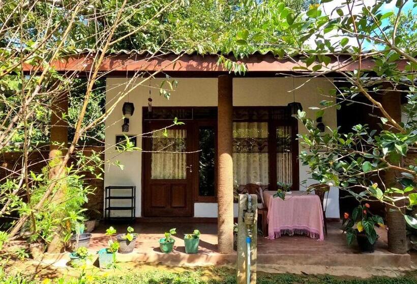 Deluxe-huone King-vuode, Alone Cage Ella