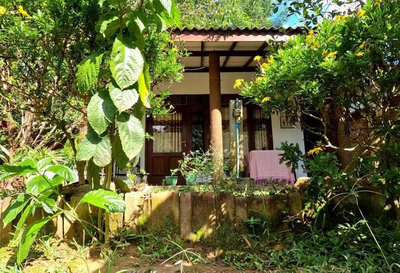 Deluxe-huone King-vuode, Alone Cage Ella