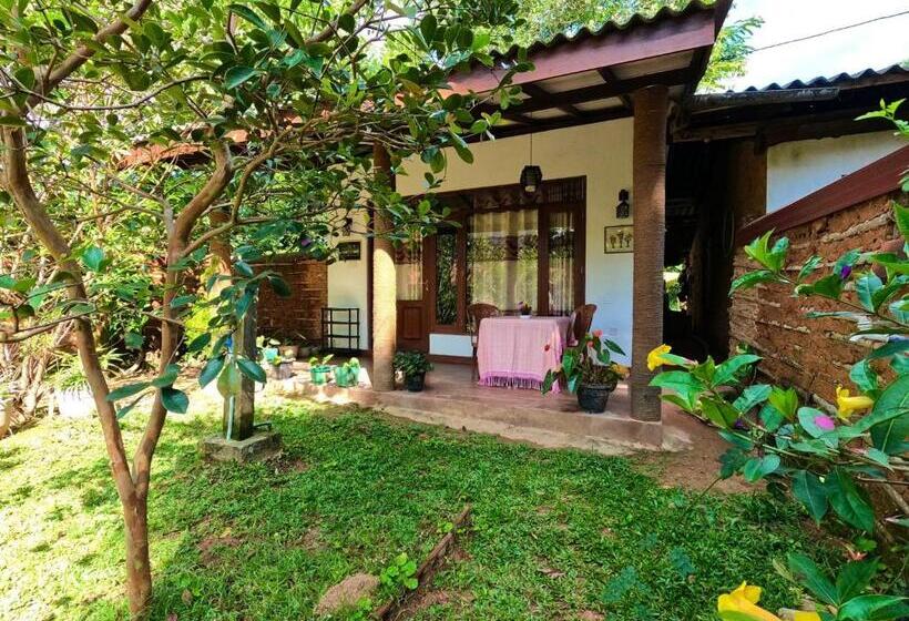 Deluxe-huone King-vuode, Alone Cage Ella