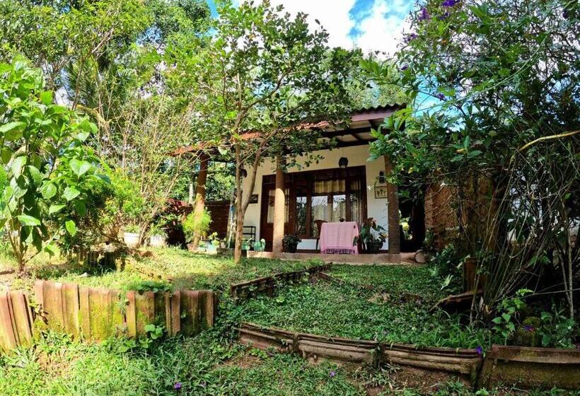 Deluxe-huone King-vuode, Alone Cage Ella