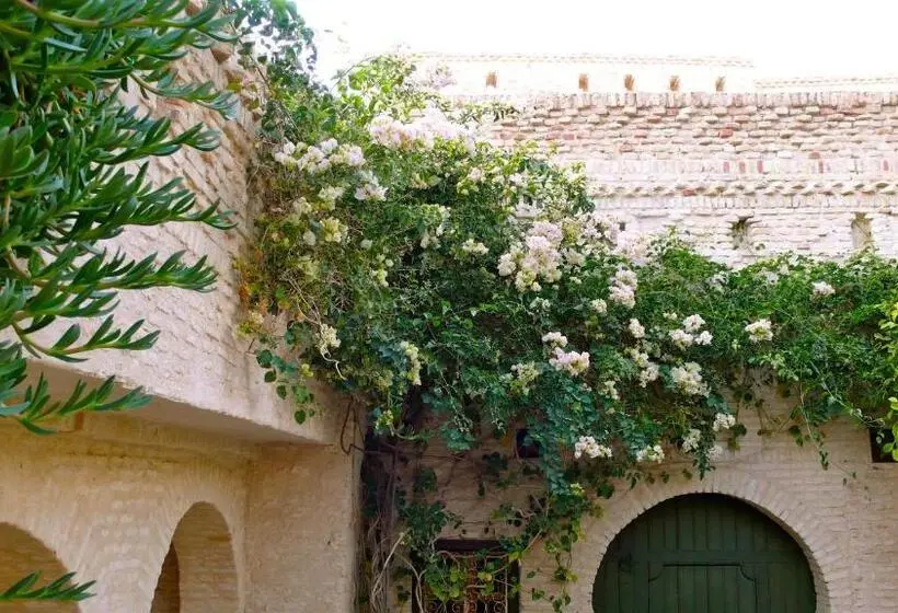 سوییت با چشم‌انداز استخر, Dar Nejma