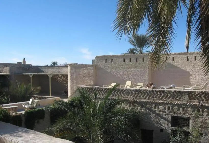 سوییت لوکس, Dar Nejma