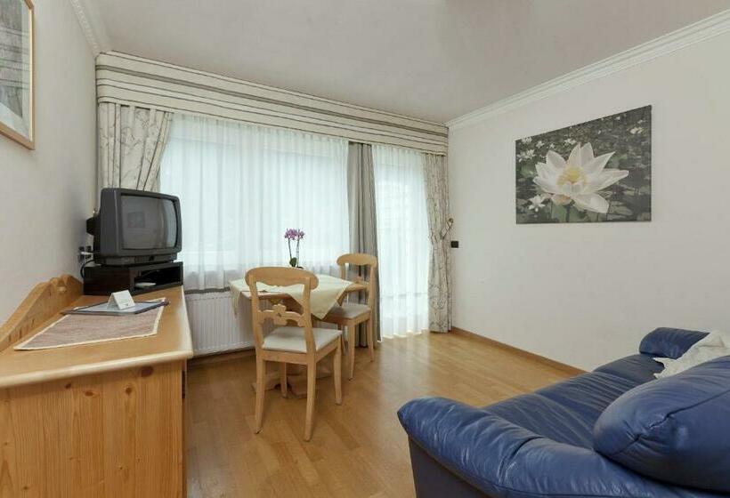 חדר סטודיו סטנדרד, Ciasa Milandura