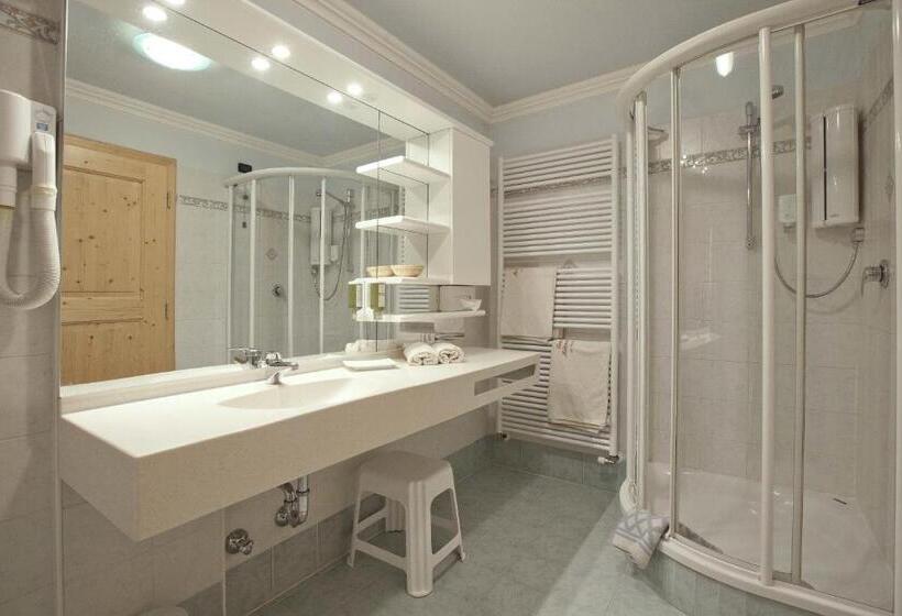 חדר סטודיו סטנדרד, Ciasa Milandura