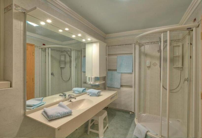 חדר סטודיו סטנדרד, Ciasa Milandura