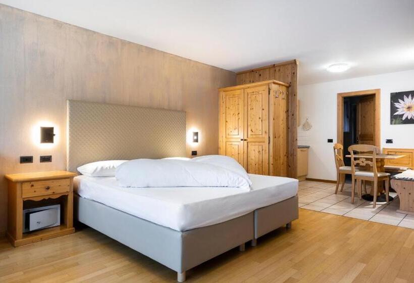 חדר סטודיו סטנדרד, Ciasa Milandura