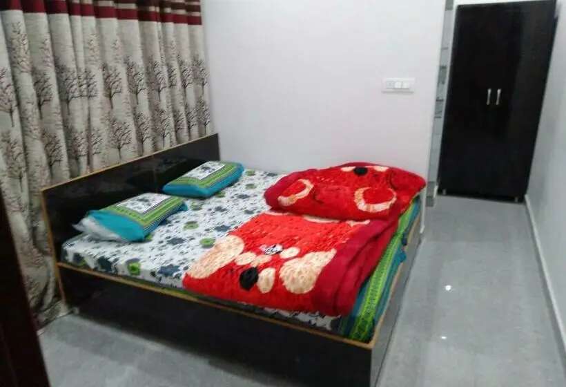 Quarto Economy, Aman