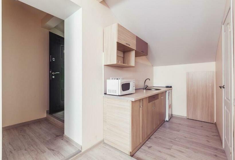 استودیوی استاندارد, Apartments Near Deribasovskaya