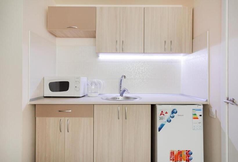 استودیوی استاندارد, Apartments Near Deribasovskaya
