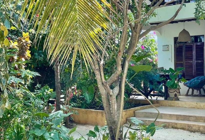 חדר סטנדרט עם טרסה, Atii Bungalow