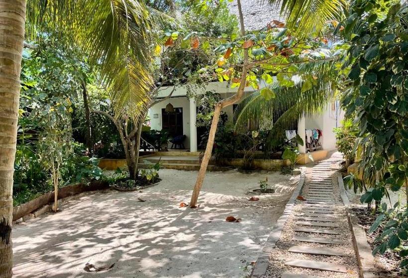 חדר סטנדרט עם טרסה, Atii Bungalow