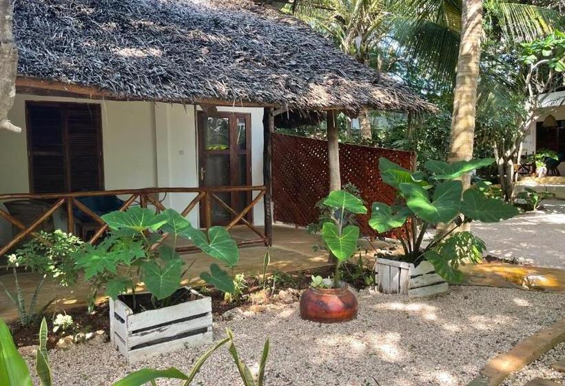 חדר סטנדרט, Atii Bungalow