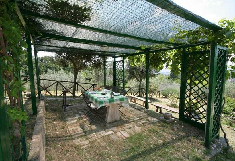 آپارتمان 1 خوابه, Villa Rosy