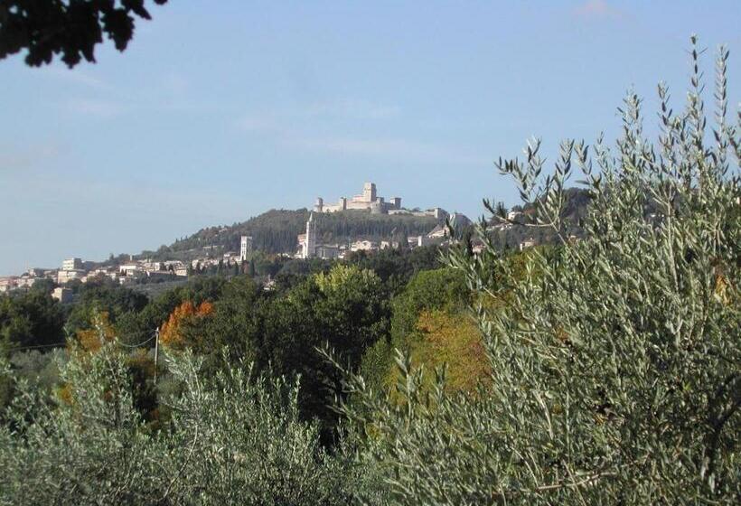 ویلای یک اتاق خوابه با استخر شنا, Villa Rosy