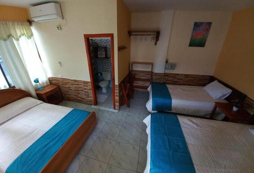 חדר סטנדרט לשלושה, Hostal Janet Starlink