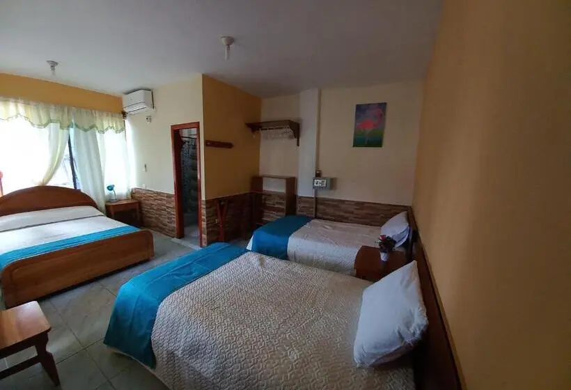 اتاق خانوادگی, Hostal Janet Starlink