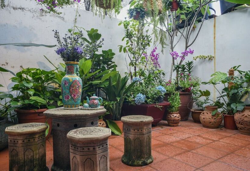 اتاق خانوادگی, Ohana House Hq