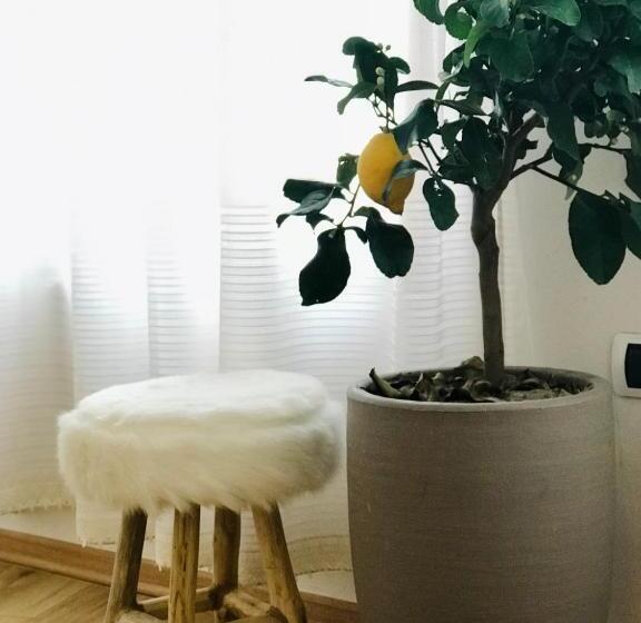 חדר סטנדרט, Foleza   Bed And Breakfast