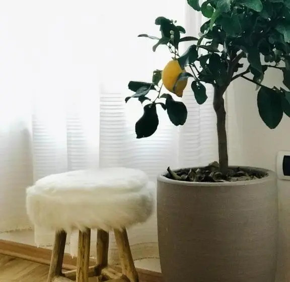 اتاق استاندارد, Foleza   Bed And Breakfast