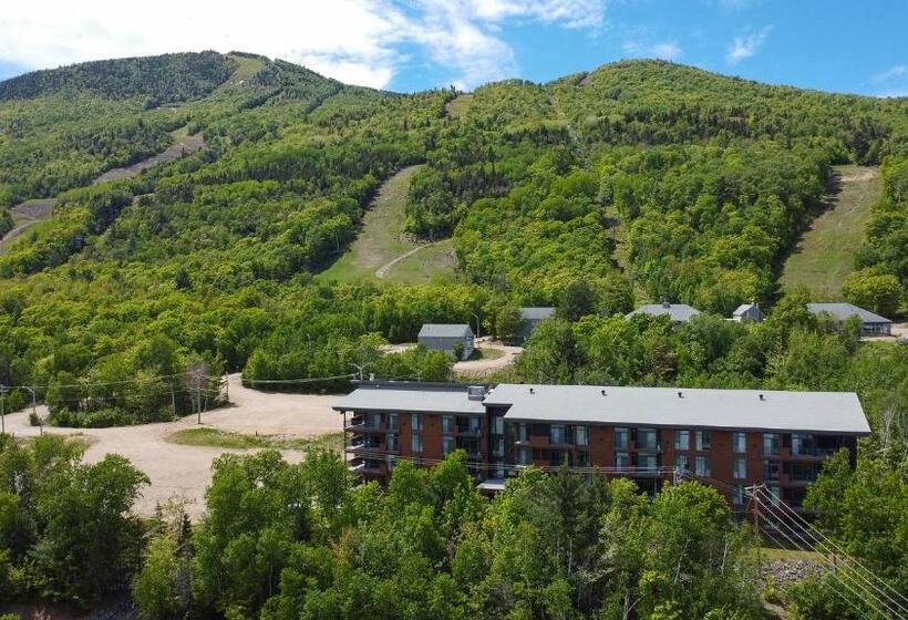 Апартаменты 1 Спальня Нижний Этаж, Les Appartements Du Massif De Charlevoix