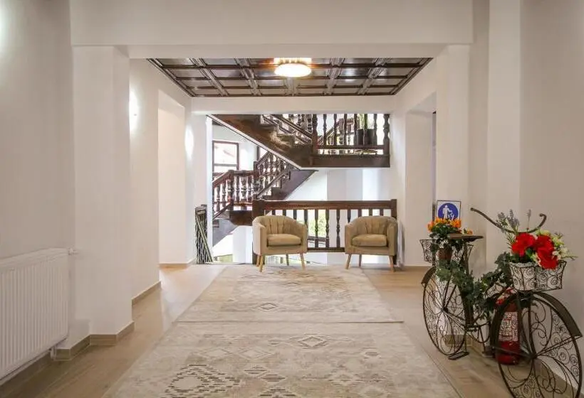 اتاق استاندارد با بالکن, Vila Smaranda