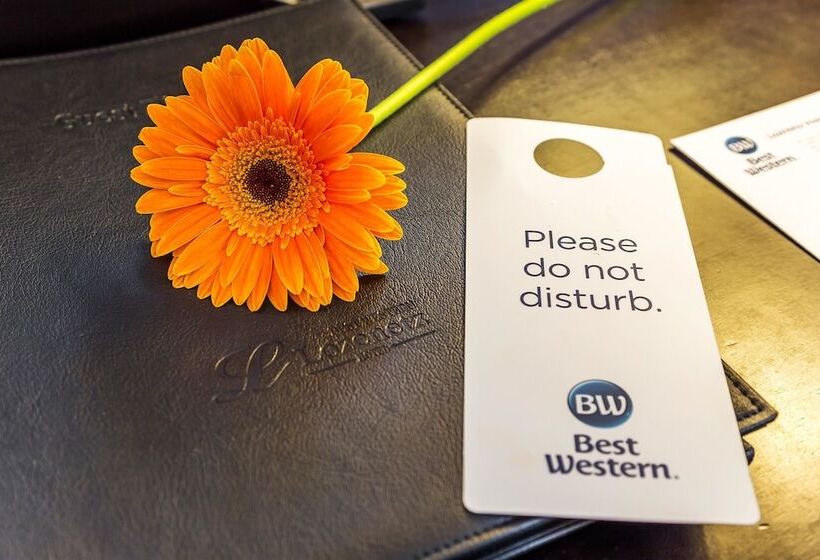 舒适型房间, Best Western Plus Lozenetz