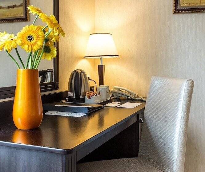 舒适型房间, Best Western Plus Lozenetz