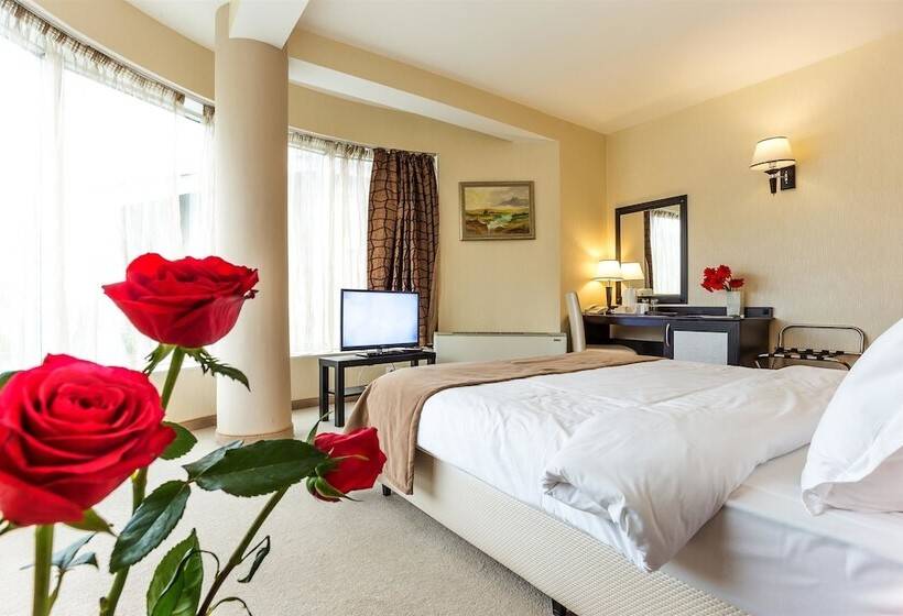 舒适型房间, Best Western Plus Lozenetz