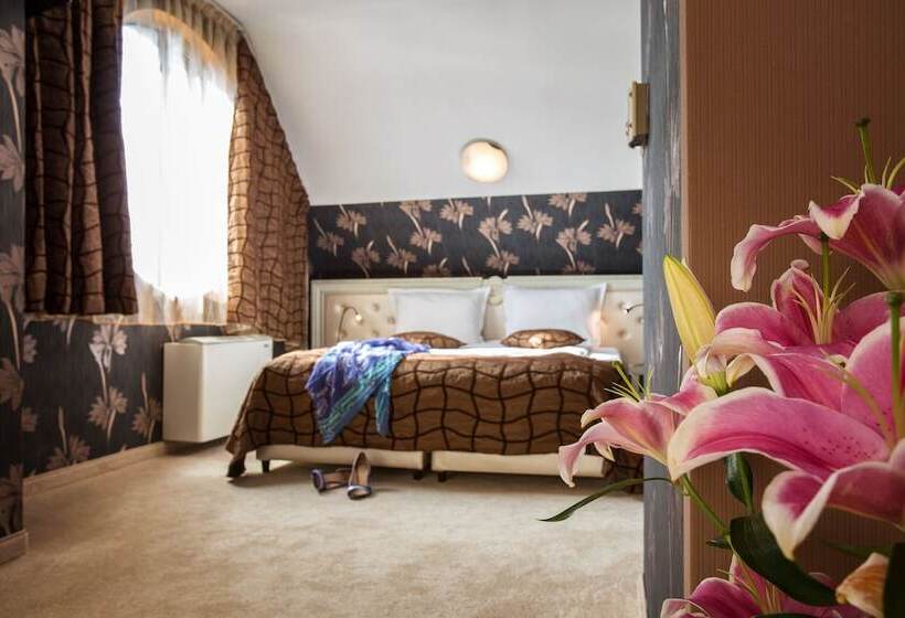 豪华房间, Best Western Plus Lozenetz