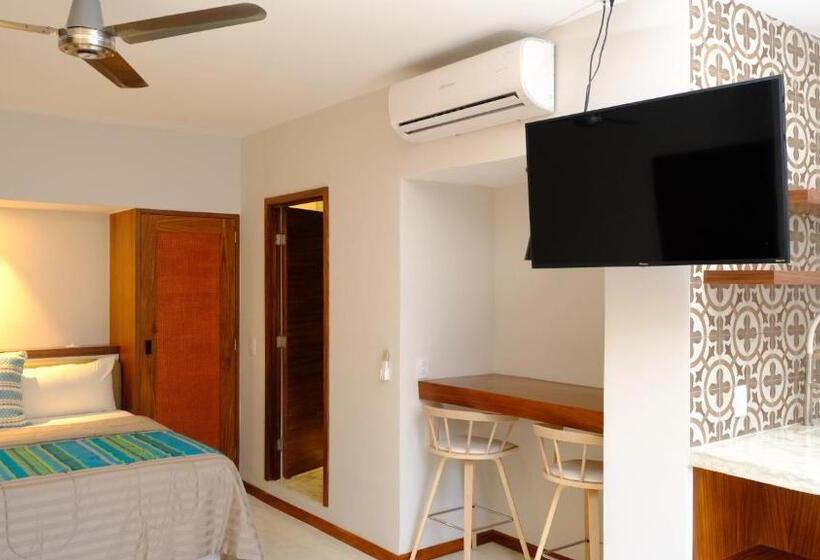 小型套房, Eloisa