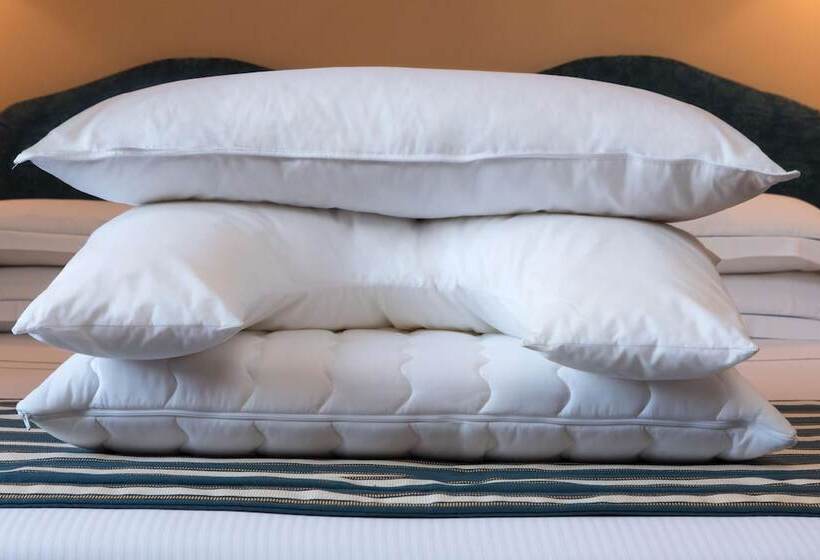 سوییت جونیور, Golden Tulip Rome Piram