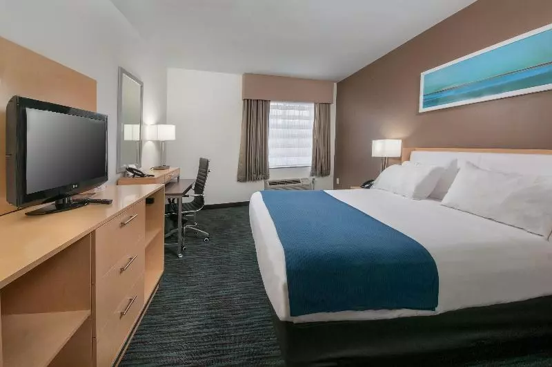 اتاق استاندارد با تخت بزرگ, Holiday Inn Express Hotel & Suites San Antonio Rivercenter Area, An Ihg