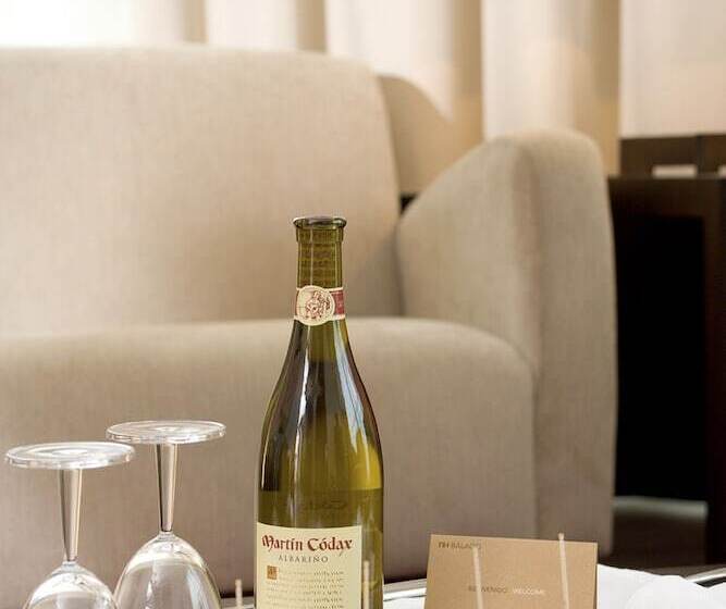 اتاق استاندارد یک نفره, NH Valladolid Balago