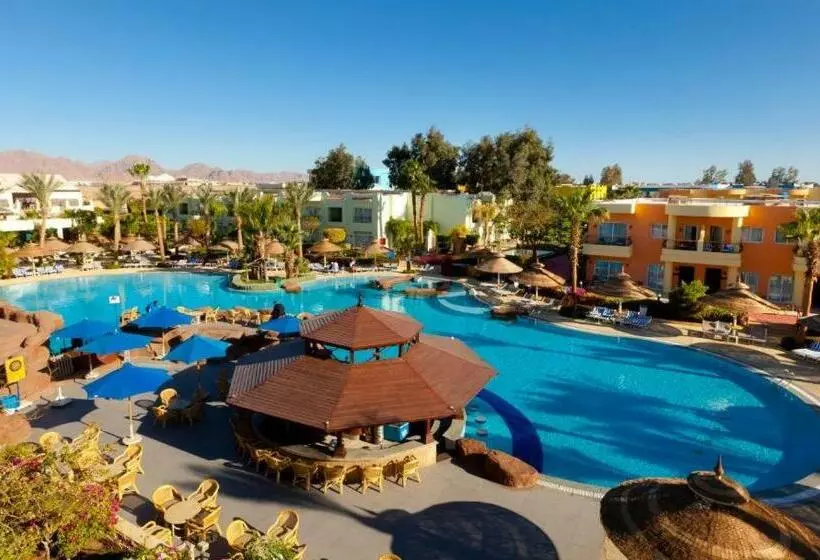 سوییت با چشم‌انداز استخر, Sierra Sharm El Sheikh