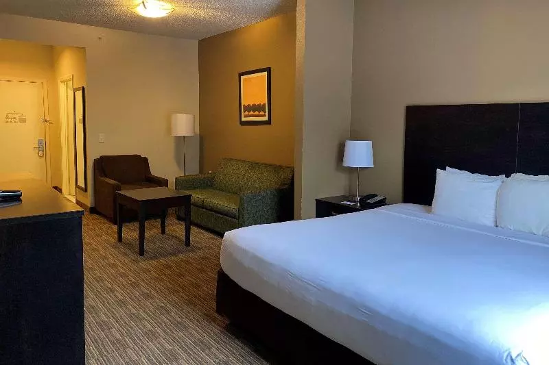 キングサイズベッドのスイートルーム, Baymont By Wyndham Houston North
