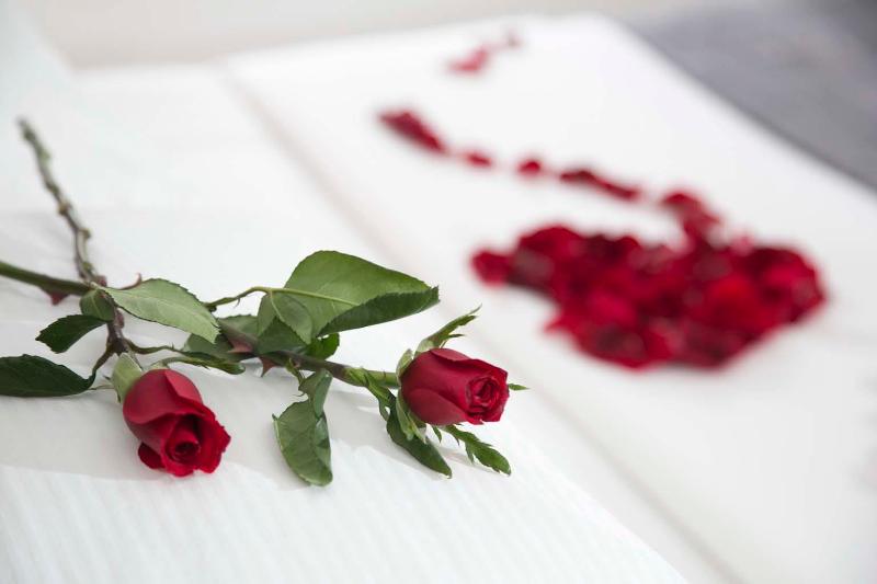 سوییت اجرایی, Buganvillas Hotel Suites