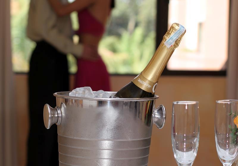 سوییت اجرایی, Buganvillas Hotel Suites